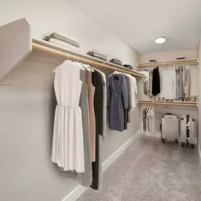 Large walk-in closet with wooden shelves and rods