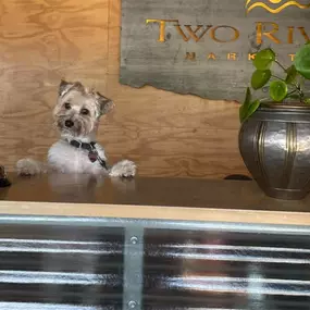 Two Rivers Marketing - Pet Friendly