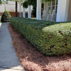 Pine Straw for Landscaping now available!