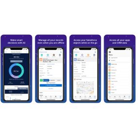 Salesforce Mobile App Development