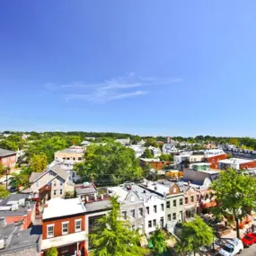 Rooftop City View