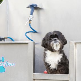 No more washing your dog in the bathtub. Visit the grooming station to get your pet looking and feeling its best.