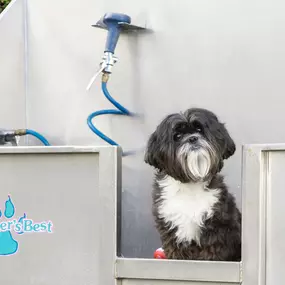 No more washing your dog in the bathtub. Visit the grooming station to get your pet looking and feeling its best.