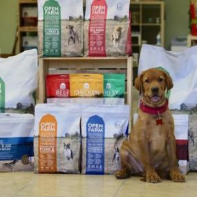 Do you need travel products for your pets? Paleo Pet Goods will deliver everything from food and supplements to treats, clothing, bedding and travel gear to keep your animals happy and healthy while on the journey.