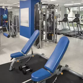 Benches and free weights in the gym.