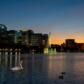 Lake eola swan and sunset