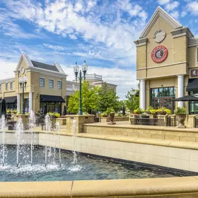 Stonecrest Shopping Center Near the Community