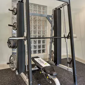 Expansive fitness center free weights