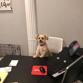 New team member working hard