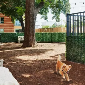 Fenced private dog park