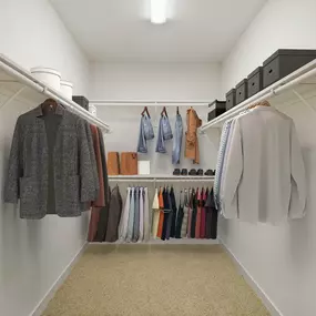 Walk in closet with wood shelves