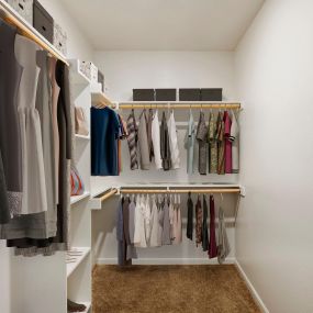 Contemporary-style walk-in closet at Camden Farmers Market Apartments in Dallas, TX