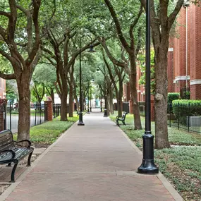 Walking path with benches and trees within the community