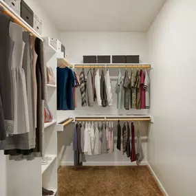 Contemporary-style walk-in closet at Camden Farmers Market Apartments in Dallas, TX