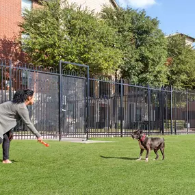 Resident playing with their dog at the Camden Farmers Market private, gated dog park