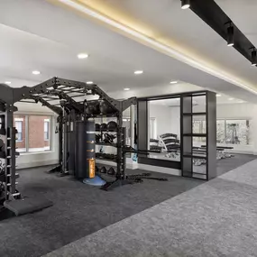 24-hour athletic club with TRX bridge functional trainer at Camden Farmers Market apartments in Dallas, Tx