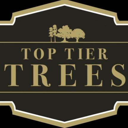 Logo von Top Tier Trees