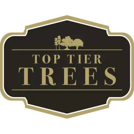 Logo od Top Tier Trees