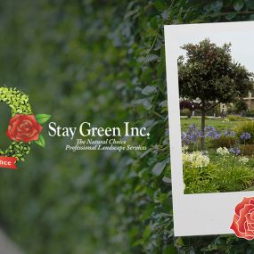 Bild von Stay Green Inc.