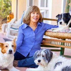 Does your pet need nutritional advice consultations? The Critters & Me provides access to organic, premium, and raw diets, and a wide range of holistic supplements for companion animals.