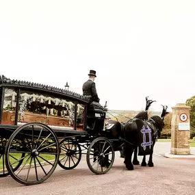 Exeter & District Funeral Service Horse Drawn Hearse