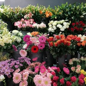 fleuriste les fleurs de marie