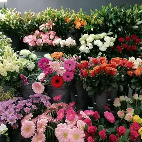 fleuriste les fleurs de marie