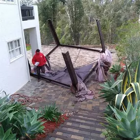 Junk King team member providing a free onsite estimate for a yard cleanup after wild winds in San Diego. We also provide same day junk removal!