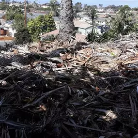 Palm tree trimmings needed to be hauled away. The customer called Junk King and we were able to provide an onsite free estimate and same day junk removal.