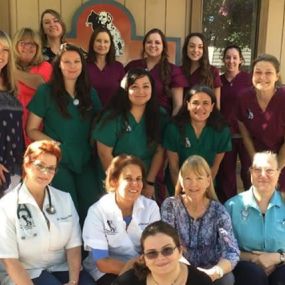 The caring and experienced team at VCA Animal Hospital of Cotati!
