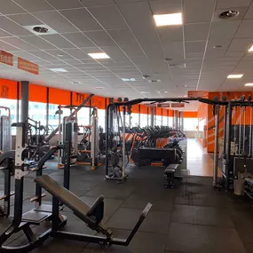 Basic-Fit Almere Donjon 24/7 - free weight zone