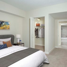 Bedroom with walk in closet and carpet flooring