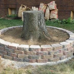 A tree stump retaining wall.