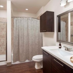 Bathroom with glass-enclosed stand-up shower and separate bathtub