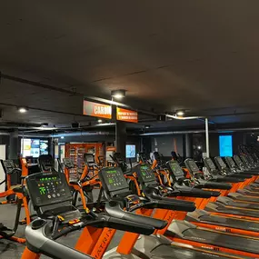 Basic-Fit Apeldoorn Christiaan Geurtsweg 24/7 - cardio