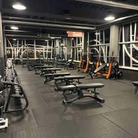 Basic-Fit Rotterdam Westzeedijk - free weight zone