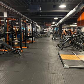 Basic-Fit Rotterdam Westzeedijk - free weight zone