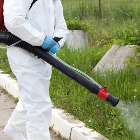 Summer & Spring Mosquito Spraying Service