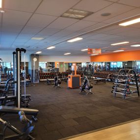 Basic-Fit Aalsmeer Molenvlietweg 24/7 - free weight zone