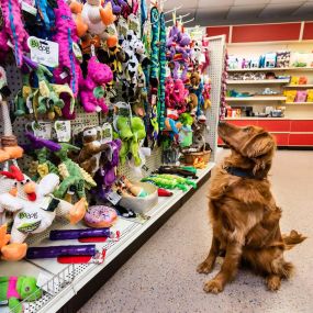 Paws Inn Pet Essentials is a locally owned family operated business in Waconia, MN. We are a one-stop pet store offering a personalized customer experience to every visitor that walks through our door.