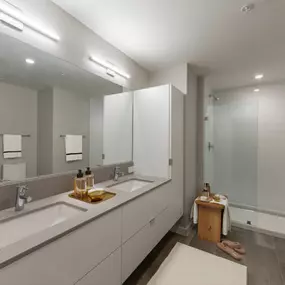 Luxurious Bathroom