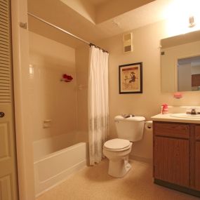 Irish Hills Apartments Bathroom