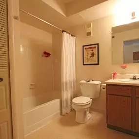 Irish Hills Apartments Bathroom