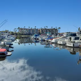 Bild von Sunset Aquatic Park
