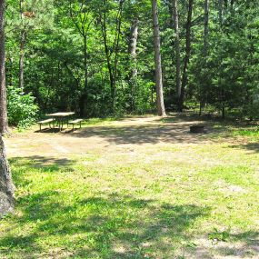 Bild von Lake of the Woods Campground