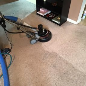 Bild von Scott's Carpet Care