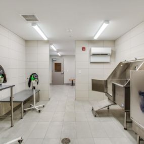 Pet spa with tub and dryers