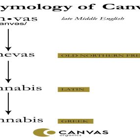 Etymology of Canvas-Canvas-Organics-Albuquerque