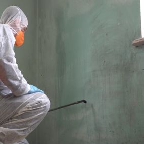 Mold remediation and abatement services