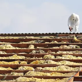 Asbestos Removal and Abatement